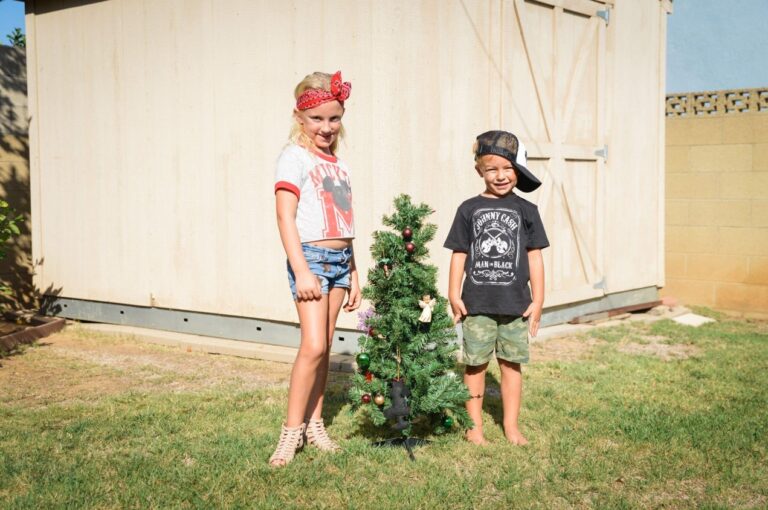 Find Your Perfect King Christmas Tree for the Holidays